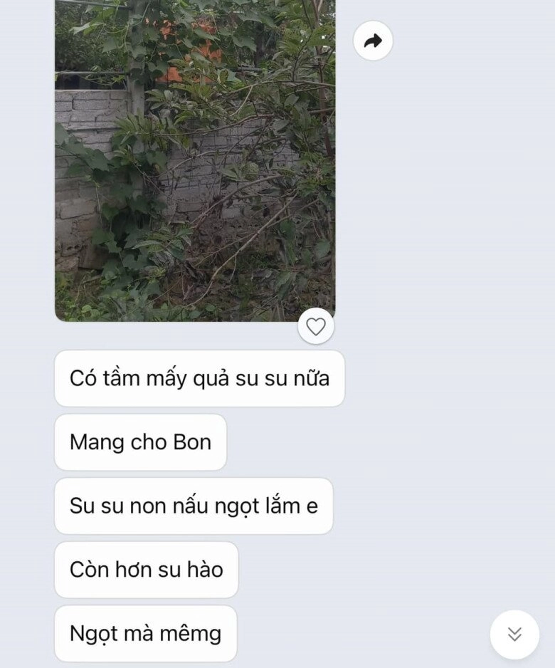 Đoạn tin nhắn của bảo mẫu khiến mẹ bỉm rưng rưng ốc thanh vân thanh thúy cũng có giúp việc y hệt - 3