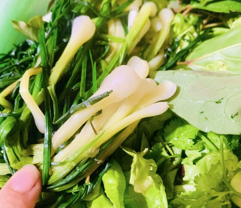 Gái đảm hà tĩnh chế biến bã rượu thành món lạ ăn một miếng nhớ cả đời - 6