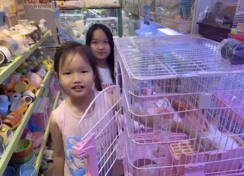 Gia đình đàm vĩnh hưngđón thêm thành viên mới bé polo6 tuổi đã lên chức anh - 3