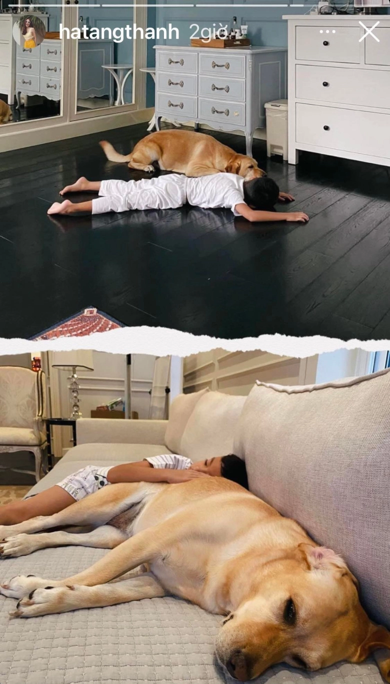 Gia đình đàm vĩnh hưngđón thêm thành viên mới bé polo6 tuổi đã lên chức anh - 5