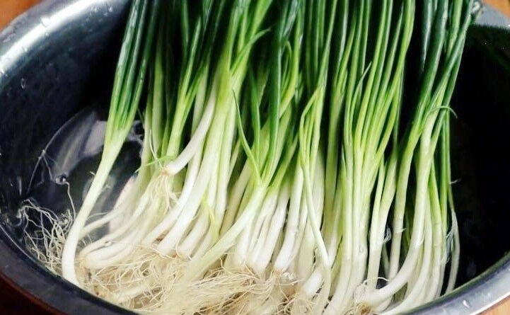 Hành lá mua về nhanh úa hỏng đem ngâm trong nước này rồi bảo quản để lâu vẫn xanh tươi - 2