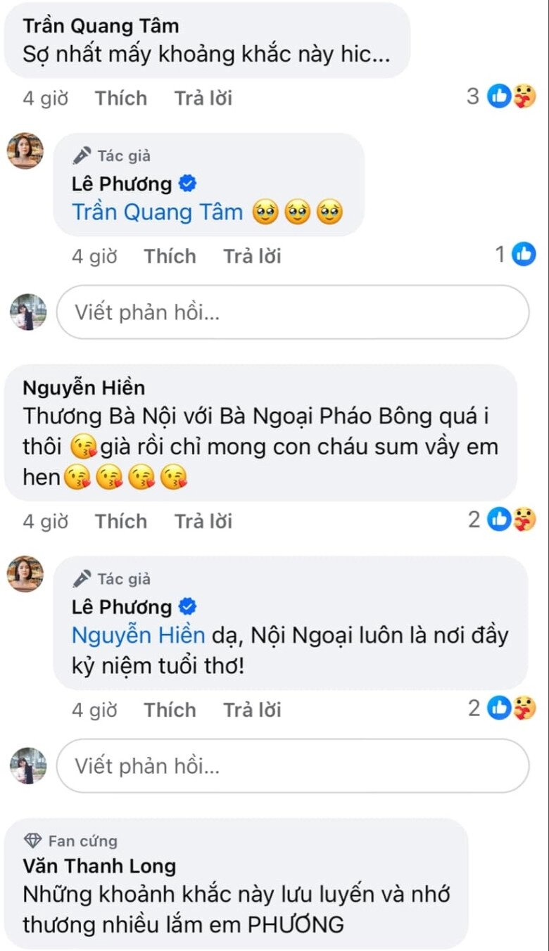 Hết tết mẹ đẻ mẹ chồng dv lê phươngra tận ngõtiễn con cháu lên thành phố nhìn kỹ thấy đôi mắt rớm lệ - 4