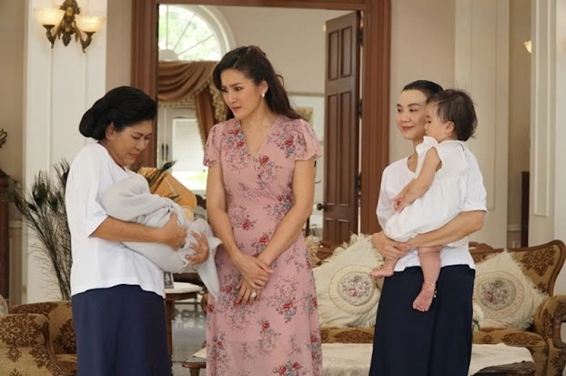 Họp gia đình chia tài sản mẹ chồng để mảnh đất 2 tỷ cho nữ giúp việc tôi lặng người khi nghe lý do - 2