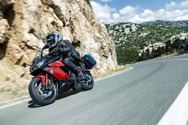 Kawasaki ninja 1000sx phiên bản 40th anniversary edition ra mắt - 7