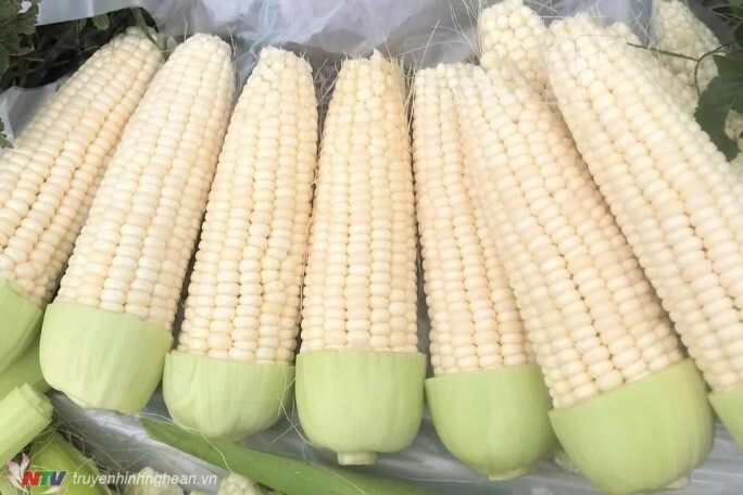 Làm ngô chiên nhiều người cho thêm bột năng người thêm trứng vậy đâu mới là bí quyết để ngô giòn rụm thơm nức mũi - 1