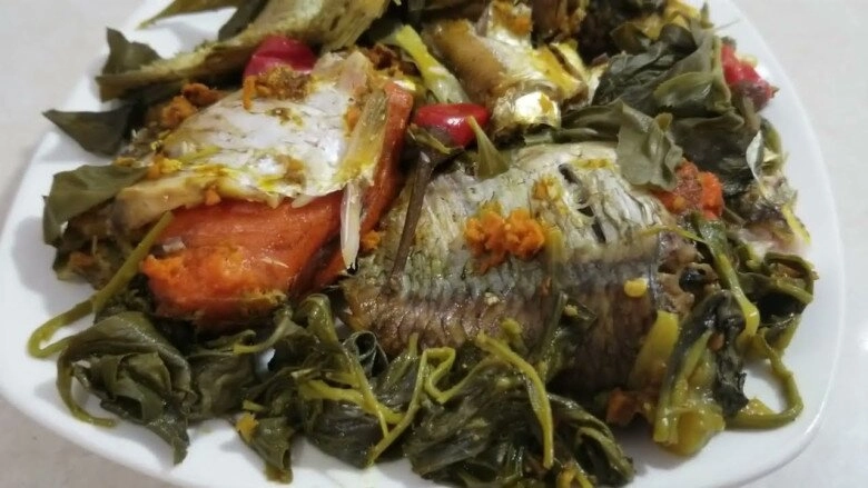 Loại cây xưa trồng làm hàng rào không ngờ giờ là đặc sản dân thành phố mê mẩn có tiền cũng khó mua kho cá ngon đỉnh - 3