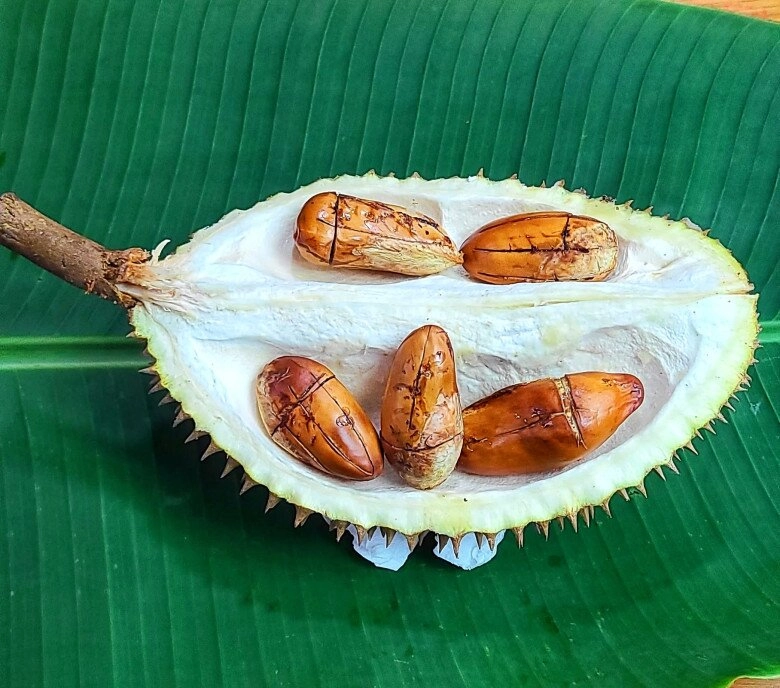 Loại hạt xưa toàn vứt bỏ giờ lại được nhiều người ưa chuộng làm 4 món này xong ai cũng thấy trước thật lãng phí - 3