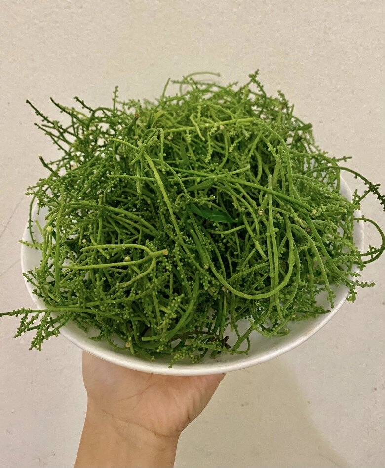 Loại hoa tận trên rừng mới có nấu lên còn ngọt hơn nước ninh xương nhiều tiền chưa chắc đã mua được đem đồ xôi cực ngon - 2