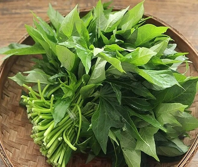 Loại rau xưa chỉ cho lợn ăn nay thành đặc sản được ưa chuộng ở thành phố xào hay làm bánh đều ngon - 1