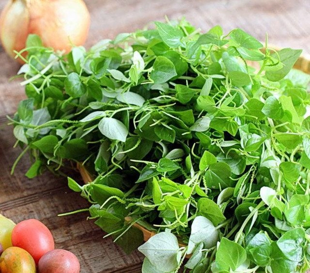 Loại rau xưa mọc bờ mọc bụi người nghèo cũng chẳng ai ăn giờ thành đặc sản của dân thành phố đem bóp nộm cực ngon mát - 1