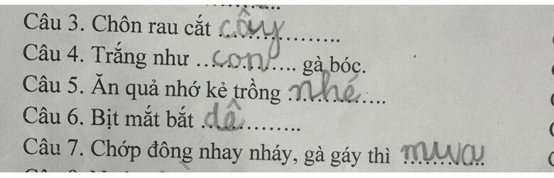 Loạt đáp án thành ngữ của ít lòng của học sinh tiểu học khiến giáo viên khóc thét dân mạng cười bò - 1