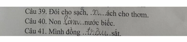 Loạt đáp án thành ngữ của ít lòng của học sinh tiểu học khiến giáo viên khóc thét dân mạng cười bò - 2