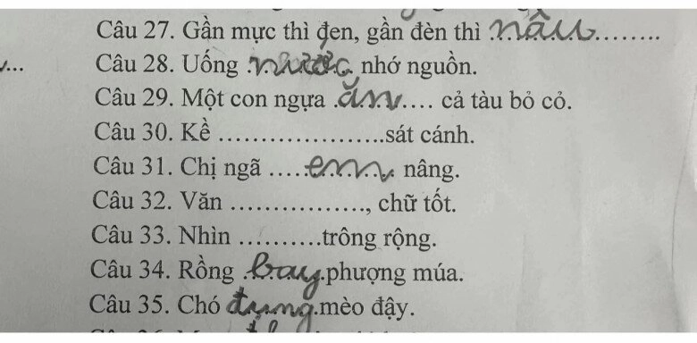 Loạt đáp án thành ngữ của ít lòng của học sinh tiểu học khiến giáo viên khóc thét dân mạng cười bò - 4
