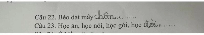 Loạt đáp án thành ngữ của ít lòng của học sinh tiểu học khiến giáo viên khóc thét dân mạng cười bò - 7
