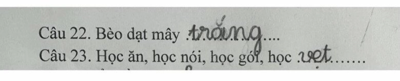 Loạt đáp án thành ngữ của ít lòng của học sinh tiểu học khiến giáo viên khóc thét dân mạng cười bò - 9