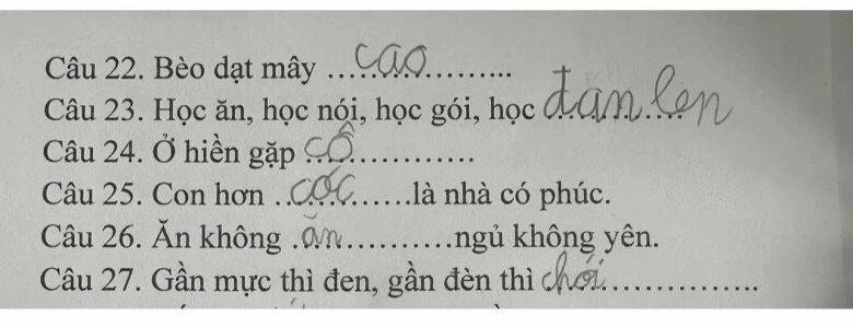 Loạt đáp án thành ngữ của ít lòng của học sinh tiểu học khiến giáo viên khóc thét dân mạng cười bò - 10