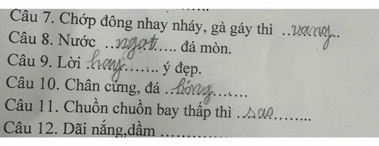 Loạt đáp án thành ngữ của ít lòng của học sinh tiểu học khiến giáo viên khóc thét dân mạng cười bò - 11