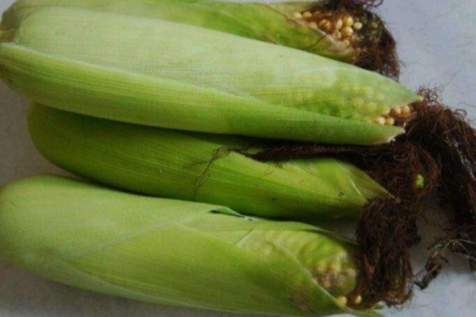Luộc ngô chẳng cần cho đường thêm 1 trong 2 thứ này ngô càng ngon lại đậm vị 10 bắp hấp dẫn như 10 - 2