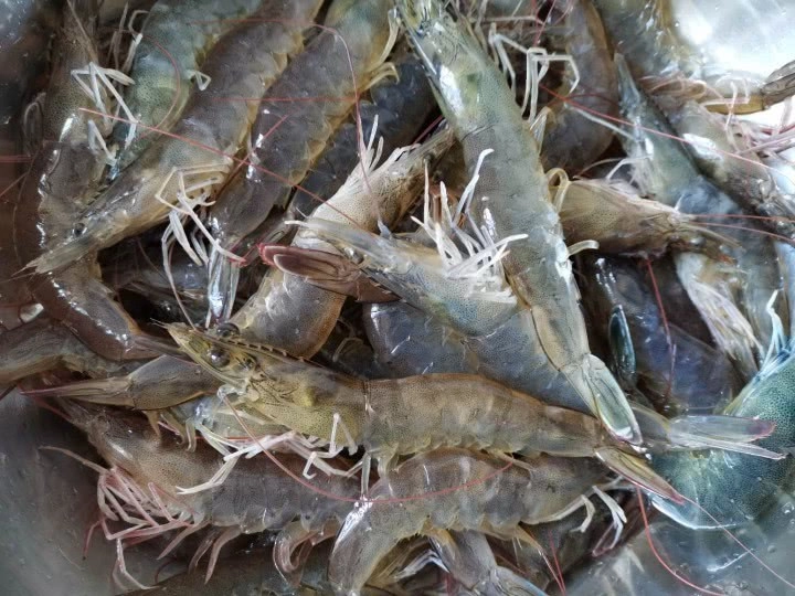 Luộc tôm chẳng cần thêm nước chỉ cần vài thứ này tôm vẫn ngon ngọt lên màu đẹp lại chẳng lo cháy nồi - 1