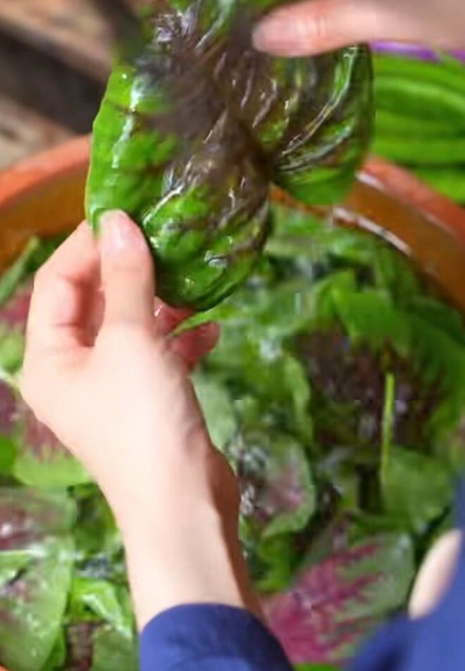 Mâm cơm chân quê của quỳnh trang - em vợ lê dương bảo lâm nấu cho bố hút hàng trăm nghìn like - 6