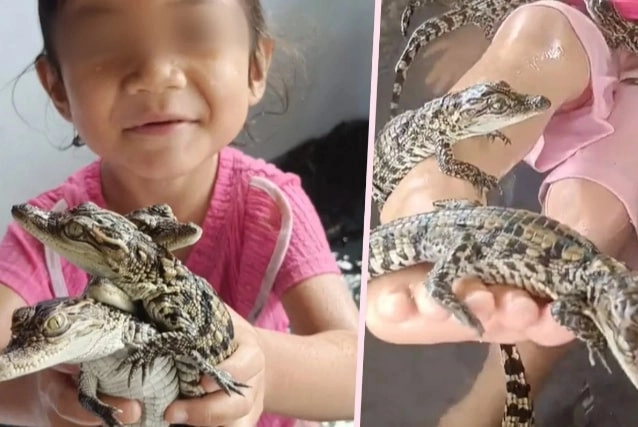 Mẹ bị chỉ trích vì để con gái 4 tuổi nô đùa với hàng trăm con cá sấu - 1