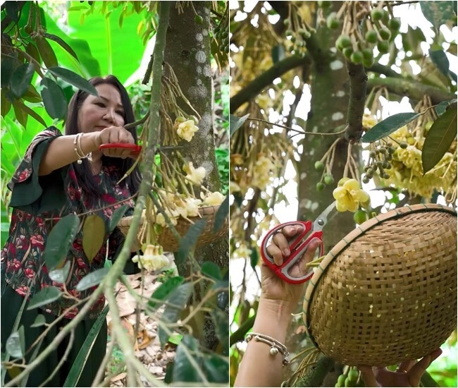 Mẹ chồng về nhà đi con làm món nhà giàu chưa chắc đã mua được ăn một lần ghiền tới già - 2
