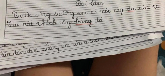 Mẹ việt dở khóc dở cười khi đọc bài văn của con học tiểu học viết về ước mơ của em - 4