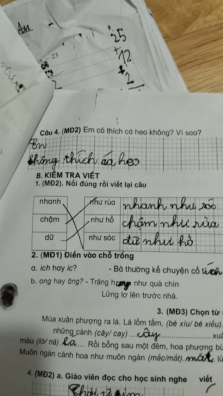 Mẹ việt dở khóc dở cười khi đọc bài văn của con học tiểu học viết về ước mơ của em - 6