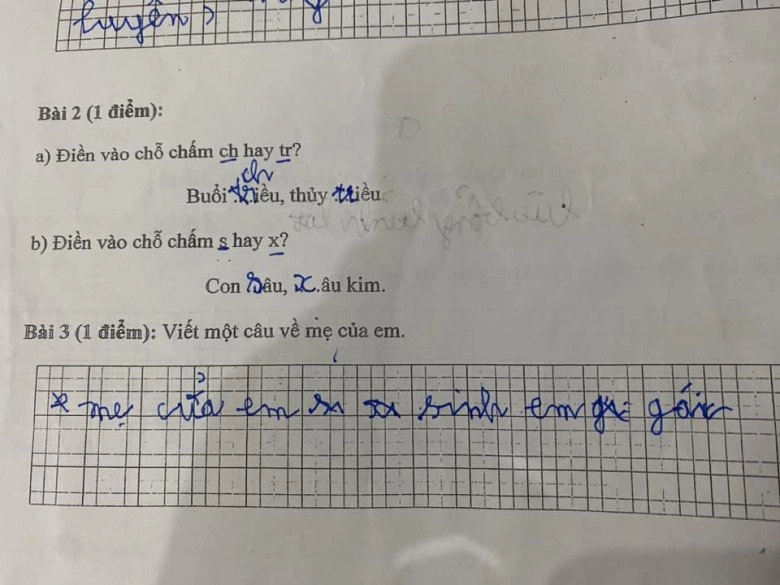 Mẹ việt dở khóc dở cười khi đọc bài văn của con học tiểu học viết về ước mơ của em - 7