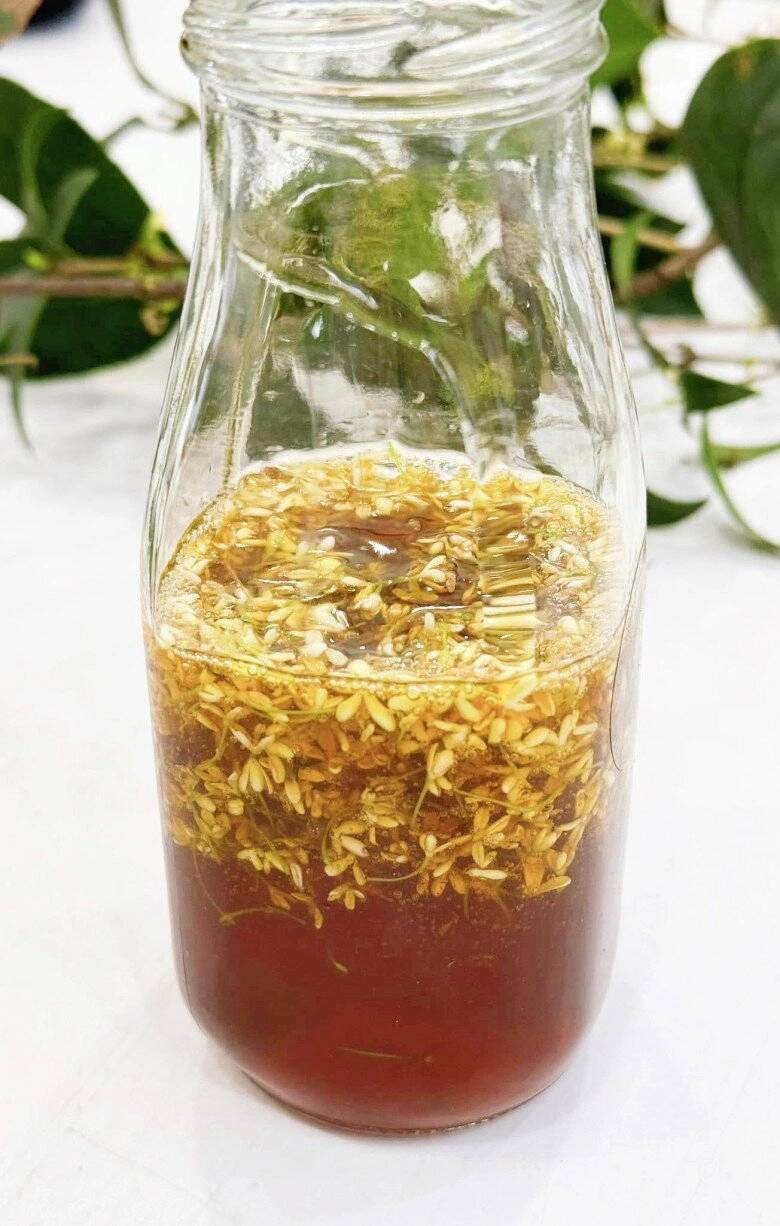 món mới hoa mộc hương đừng chỉ để ngửi đem ngâm mật ong uống vào khỏe re - 2