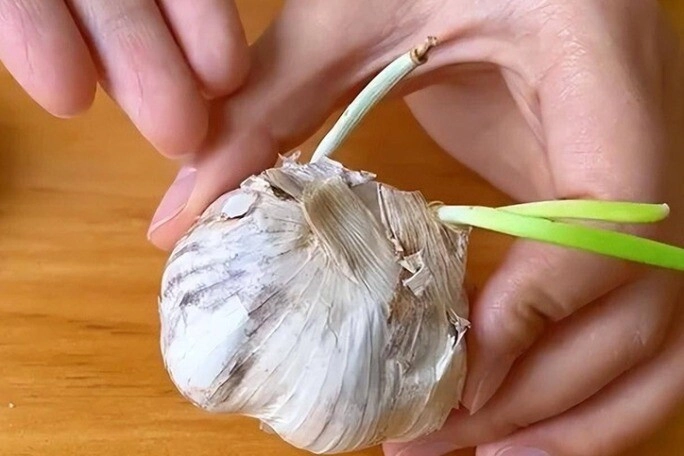 Mua tỏi người thích củ mọc mầm vì mầm tỏi bổ người chọn loại màu trắng tinh chuyên gia nói 5 loại cần tránh ai cũng ngã ngửa - 2