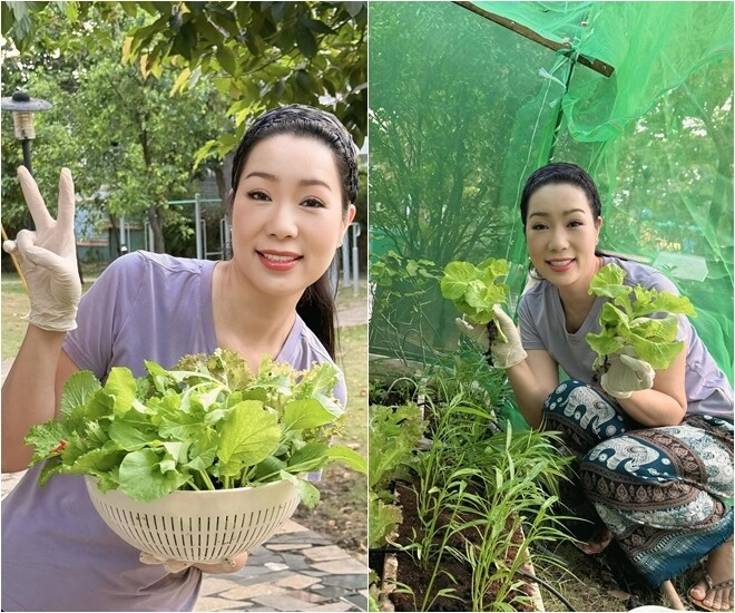 người đẹp không tuổi trịnh kim chi làm món hấp dẫn hao cơm vừa nấu vừa xuýt xoa vì quá thơm - 8