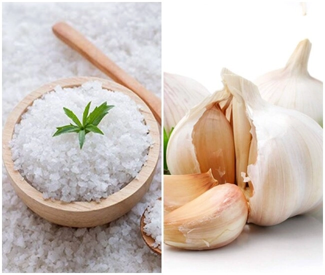 Trời nồm ẩm nhét ngay thứ này vào túi tỏi để không mốc hỏng tươi ngon như thường - 1