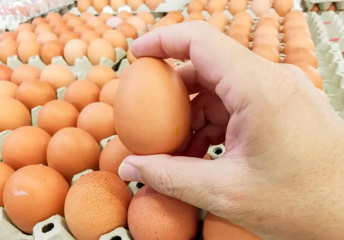 Trứng gà giàu dinh dưỡng nhưng 6 loại này nên hạn chế ăn vừa kém chất lượng lại có hại cho sức khỏe - 3