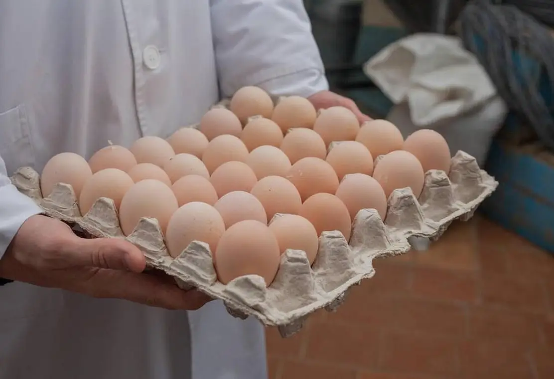 Trứng gà giàu dinh dưỡng nhưng 6 loại này nên hạn chế ăn vừa kém chất lượng lại có hại cho sức khỏe - 4