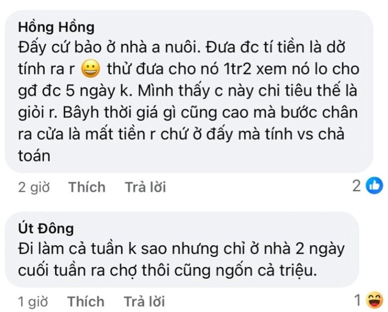 Vợ bị chồng trách vì đi chợ 4 ngày tiêu hết 12 triệu ai cũng bênh mẹ bỉm nhờ 1 chi tiết - 5