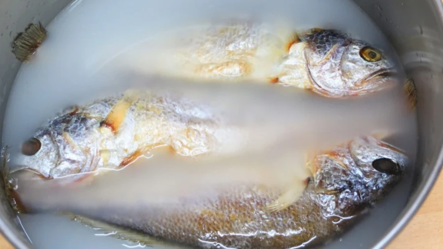 5 món canh chua cá ngon hết nước chấm lại thanh mát không tanh quá hợp ngày hè - 2
