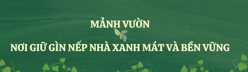 9x bỏ việc kế toán về trồng rau tạo nên khu vườn 500m2 xanh mướt đủ loại rau trái giữa lòng tphcm - 6