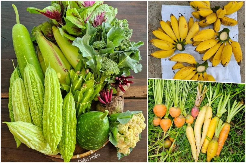 9x bỏ việc kế toán về trồng rau tạo nên khu vườn 500m2 xanh mướt đủ loại rau trái giữa lòng tphcm - 12