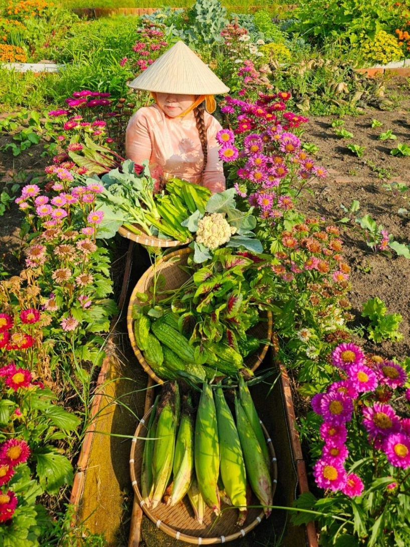 9x bỏ việc kế toán về trồng rau tạo nên khu vườn 500m2 xanh mướt đủ loại rau trái giữa lòng tphcm - 20