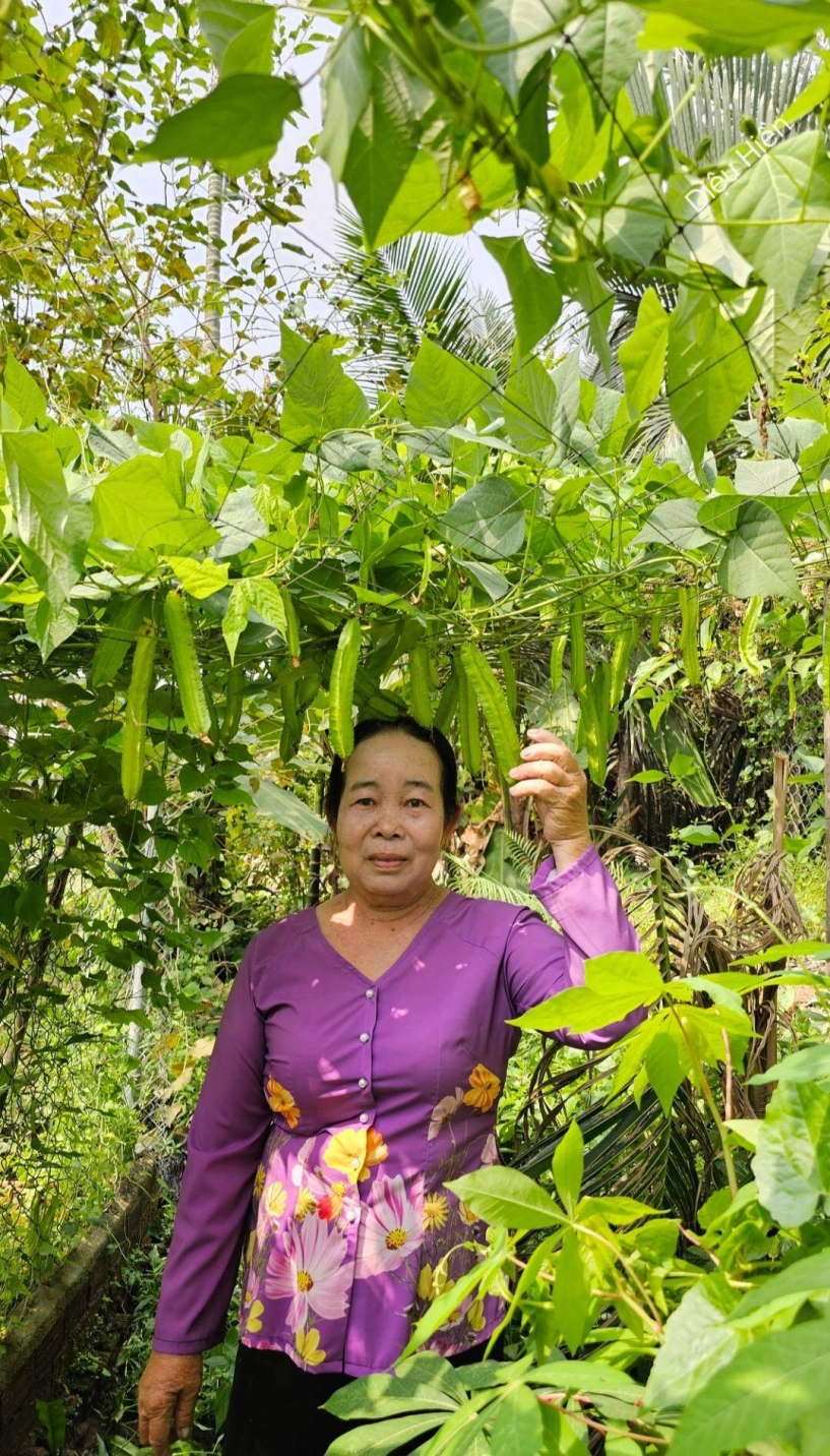 9x bỏ việc kế toán về trồng rau tạo nên khu vườn 500m2 xanh mướt đủ loại rau trái giữa lòng tphcm - 21