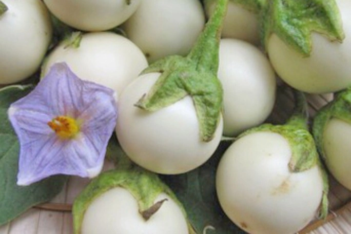 Bao năm muối cà nhưng vẫn hên xui đầu bếp chỉ cách này cả 100 lần cà giòn tan không màng ủng - 2