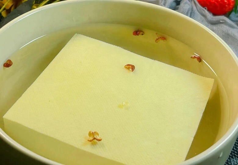 Bảo quản đậu phụ không nên cho thẳng vào tủ lạnh nhớ thêm 2 mẹo này đậu để 10 ngày vẫn tươi ngon - 3