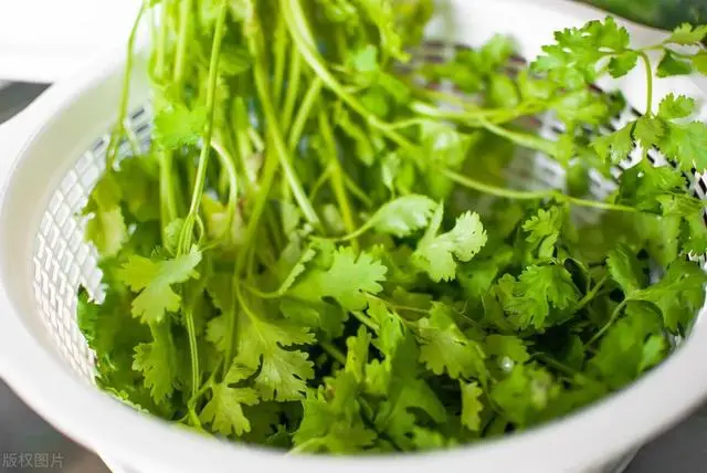 Bảo quản rau mùi trong tủ lạnh là sai đầu bếp nhà hàng chỉ bạn một mẹo giữ rau thơm tươi được lâu - 2