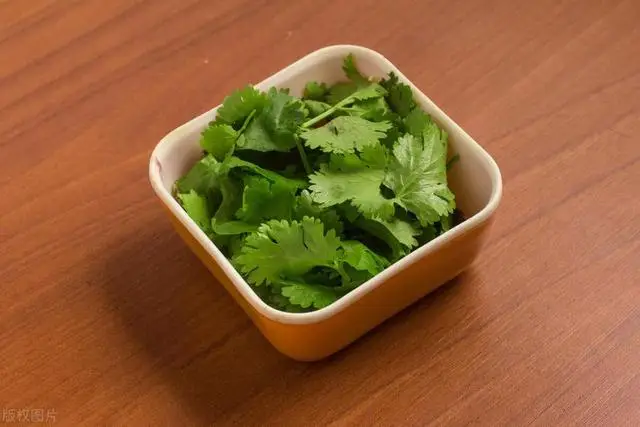Bảo quản rau mùi trong tủ lạnh là sai đầu bếp nhà hàng chỉ bạn một mẹo giữ rau thơm tươi được lâu - 3