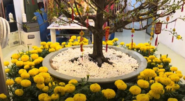 Bất ngờ với không gian tầng trên trong căn nhà của ông vua dài hơi làng cải lương việt nam - 3