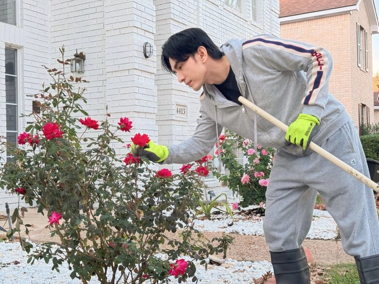Biệt thự đan trường sống sau khi ly hôn vợ hàng xóm nói hoa chết hết rồi ai ngờ giờ bung nở khắp lối - 17