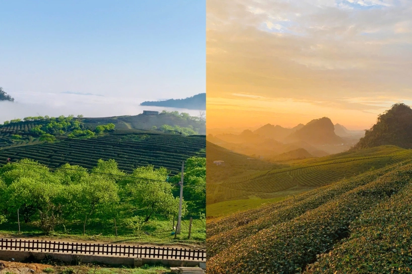 Bỏ phố về cao nguyên cặp vợ chồng trẻ chi 2 tỷ đồng xây ngôi nhà gỗ đẹp như tranh giữa đồi chè xanh ngát - 4