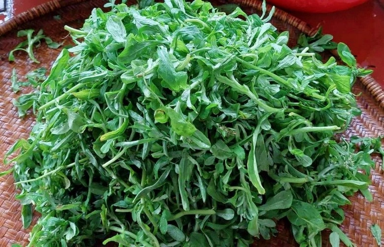 Cách bảo quản rau khúc đến khi hết mùa vẫn có để nấu xôi hay làm bánh ăn vị tươi ngon như mới hái - 2