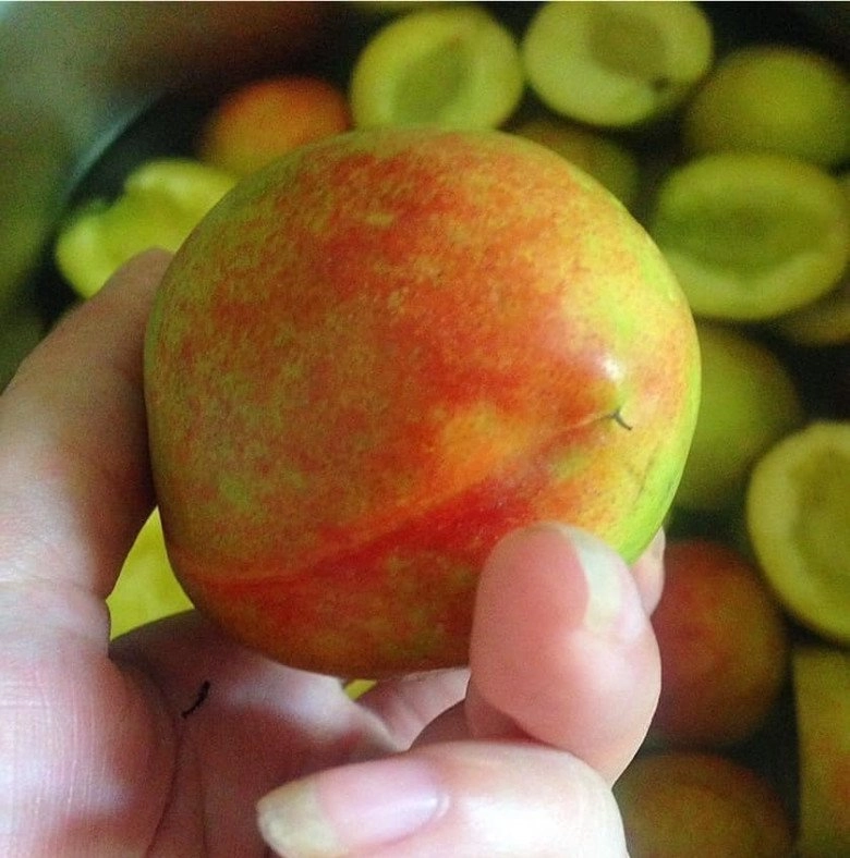 Cách làm đào ngâm giòn ngon không bị màng hỏng để pha trà mùa hè cực đã - 2